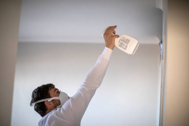 Best Office Mold Removal Services  in Mount Pleasant, TX